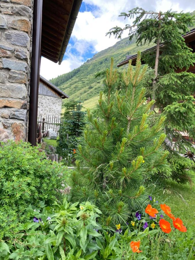 Dreihaeuser Obergurgl Dış mekan fotoğraf